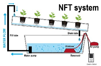 Nutrient Film Technique system