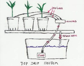 Top Drip Bato Bucket system