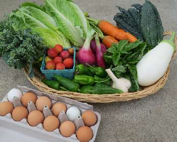 Farm fresh veggies and eggs