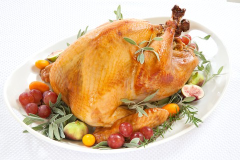 how to roast a turkey in an electric roaster oven